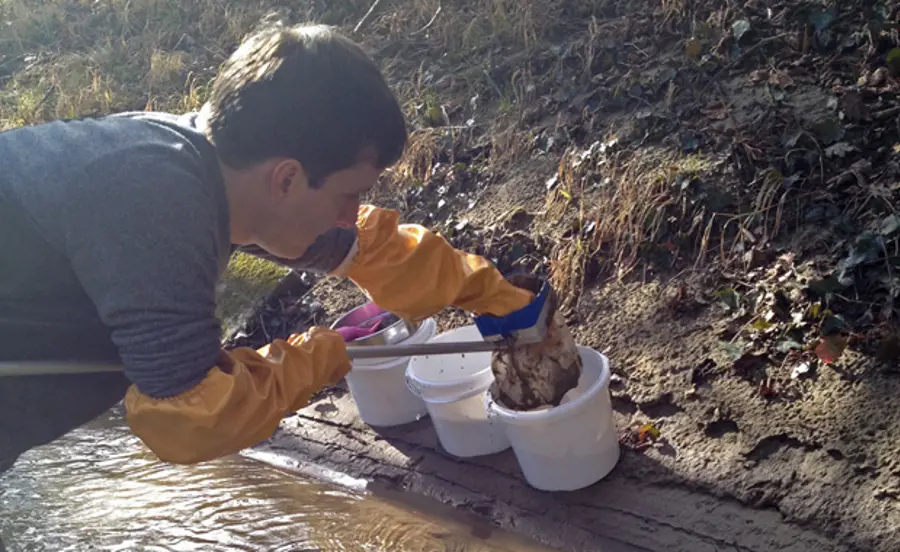 OligoNem – In situ Methoden mit Oligochaeten und Nematoden zur Bestimmung der Sedimentqualität