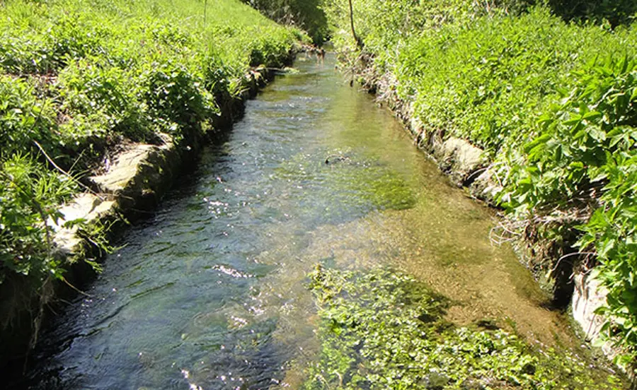  Erarbeitung eines belastbaren Konzeptes zur routinemässigen Beurteilung der Wasserqualität mit Biotests