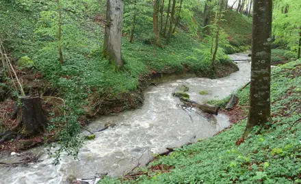 Sedimentuntersuchungen im Rahmen von NAWA SPEZ 2017