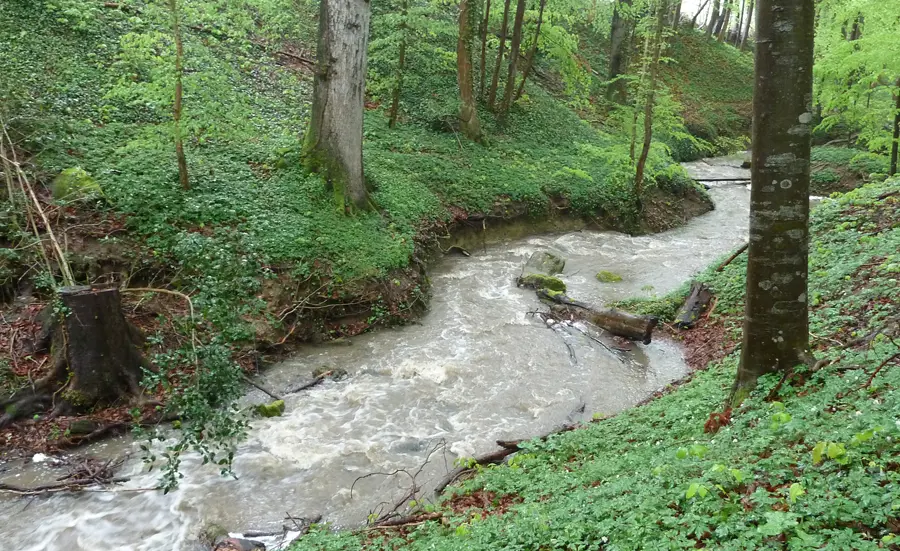 Sedimentuntersuchungen im Rahmen von NAWA SPEZ 2017