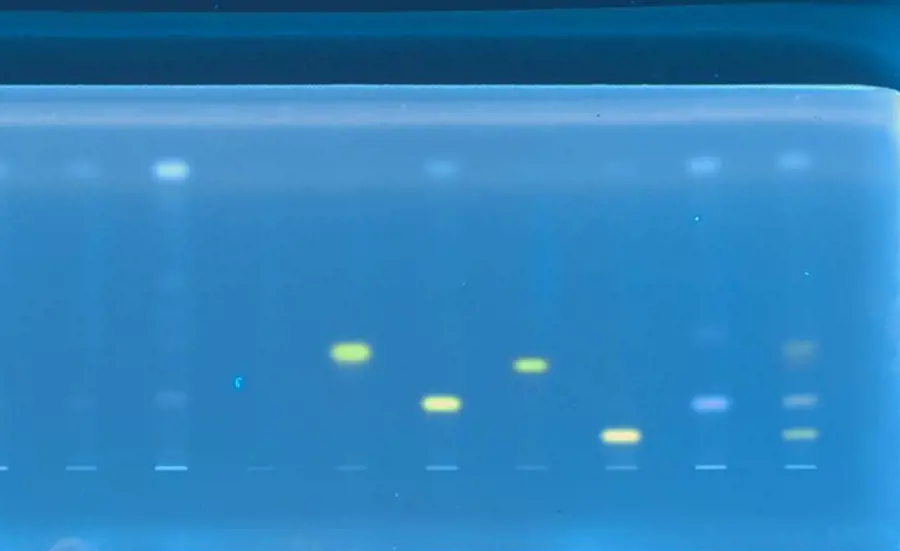 Neues Projekt kombiniert Dünnschichtchromatographie und Biotests