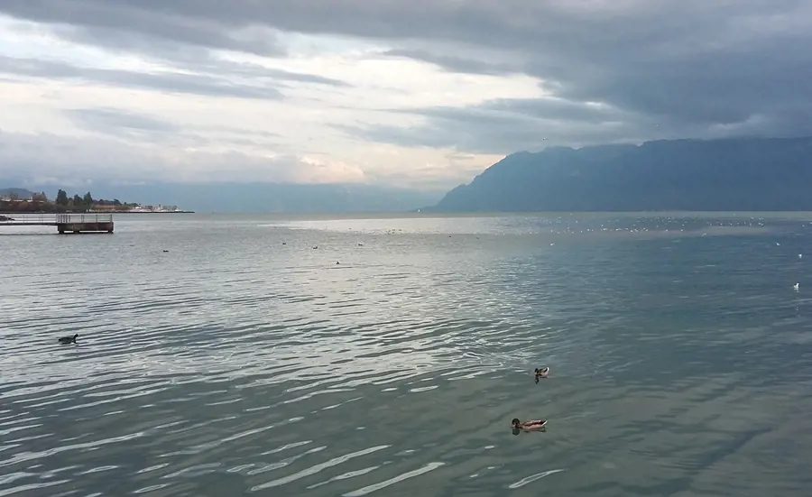 Tragen Regenwasserüberläufe im Genfersee zur Sedimentverschmutzung bei?