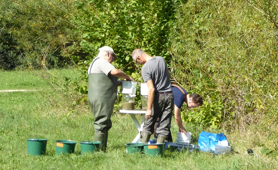 Fortschritte in der Bewertung der Sedimentqualität