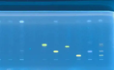 Kombination von Dünnschichtchromatographie, Biotests und Massenspektrometrie