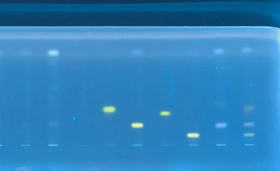 Kombination von Dünnschichtchromatographie, Biotests und Massenspektrometrie zur Nachweis von Mikroverunreinigungen in komplexen Proben