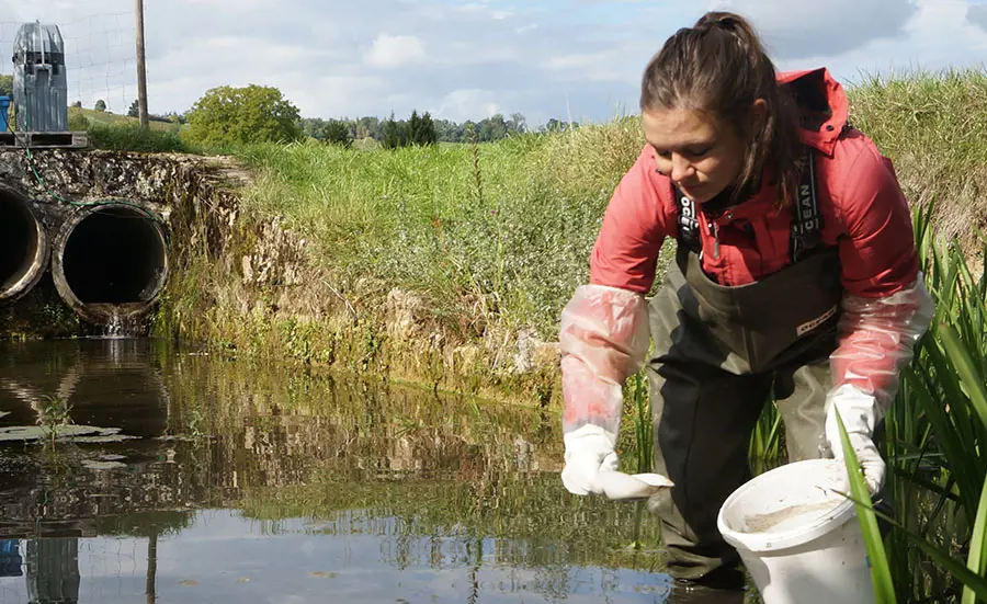 Ökotoxikologische Wirkungen durch Pflanzenschutzmittel in Bachsedimenten