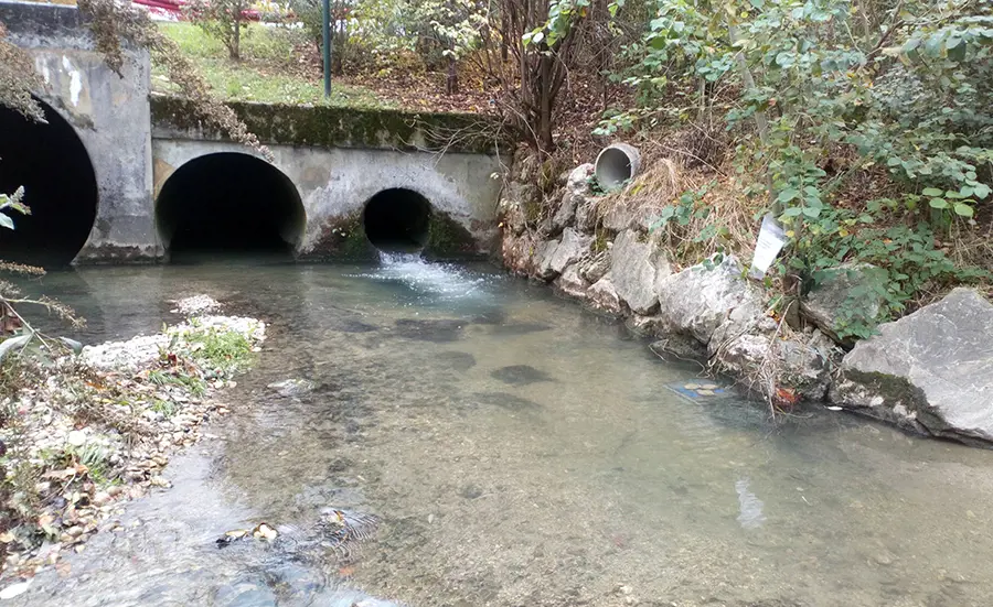 Artengemeinschaften in belasteten Flusssedimenten