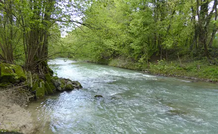 Herleitung von ökotoxikologisch basierten Qualitätskriterien
