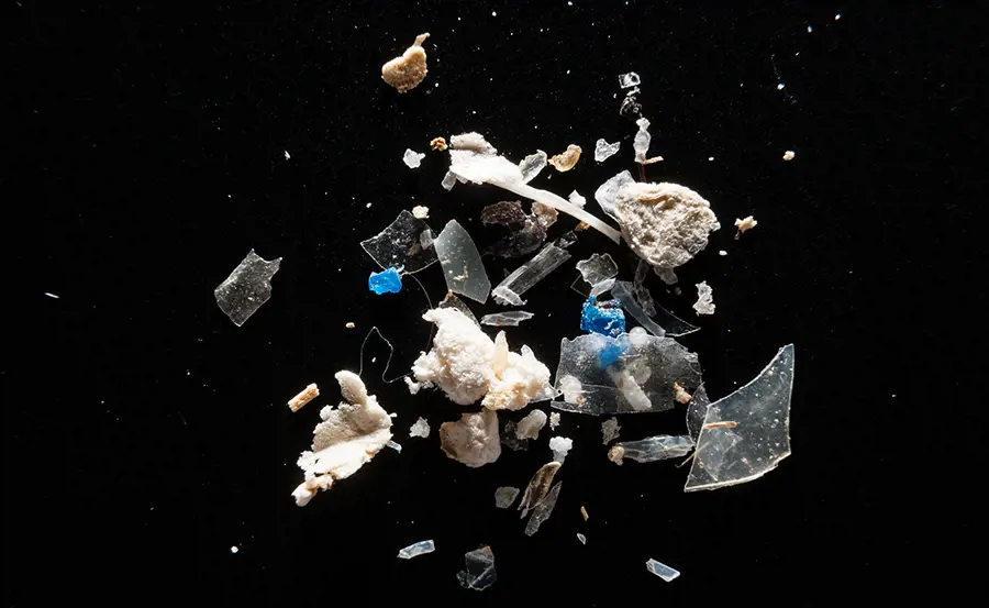 Mikroplastik in der Umwelt: Öffentliche Online-Podiumsdiskussion am 26.1.21 um 19.00 Uhr