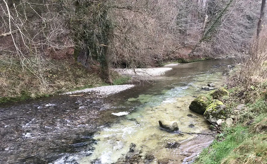 Bewertung des Effekts von geklärtem Abwasser auf Gewässer mit Hilfe von Oligochaetengemeinschaften