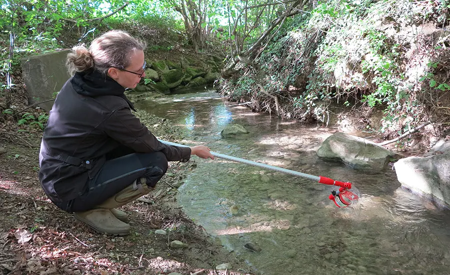 Entwicklung einer Biotestbatterie zur Beurteilung der Wasserqualität