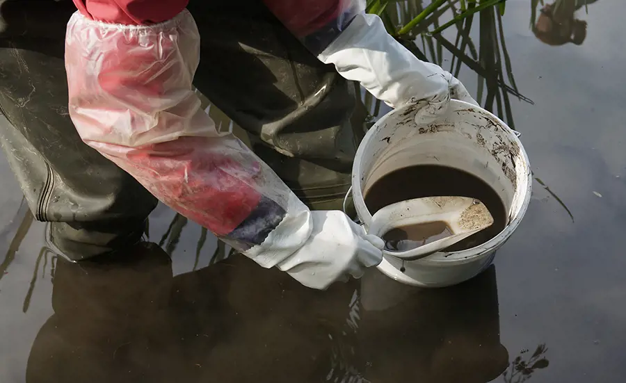 Video: Probenahme und Bewertung der Sedimentqualität