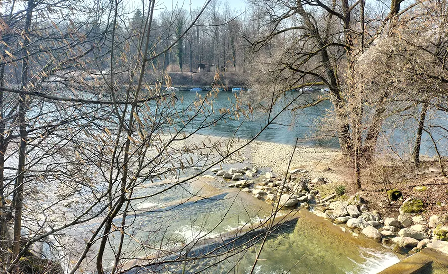 Beurteilung der Sedimentqualität in der Aare