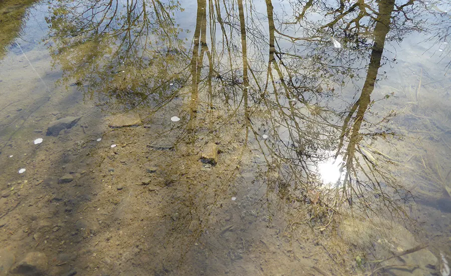 Schadstoffmonitoring von Schweizer Sedimenten