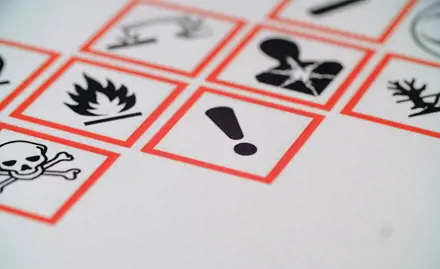 Prospektive und retrospektive Risikobeurteilung von Pestiziden