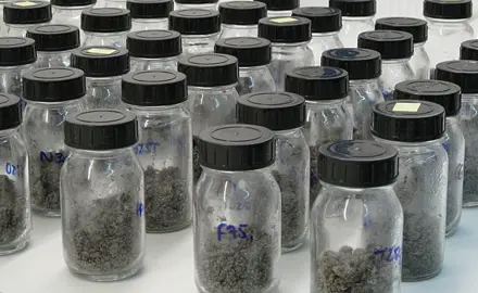Etablierung und Gebrauch von ökotoxikologische Tests für den Bodenschutz in der Schweiz