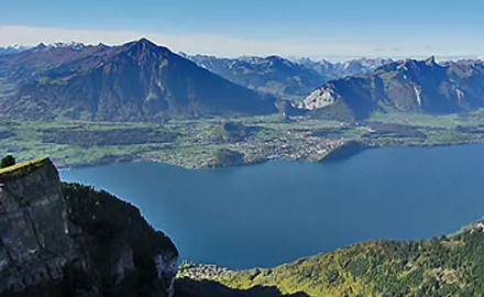 Untersuchungen von Thunersee-Plankton