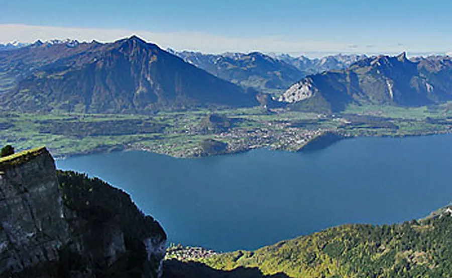 Untersuchungen von Thunersee-Plankton