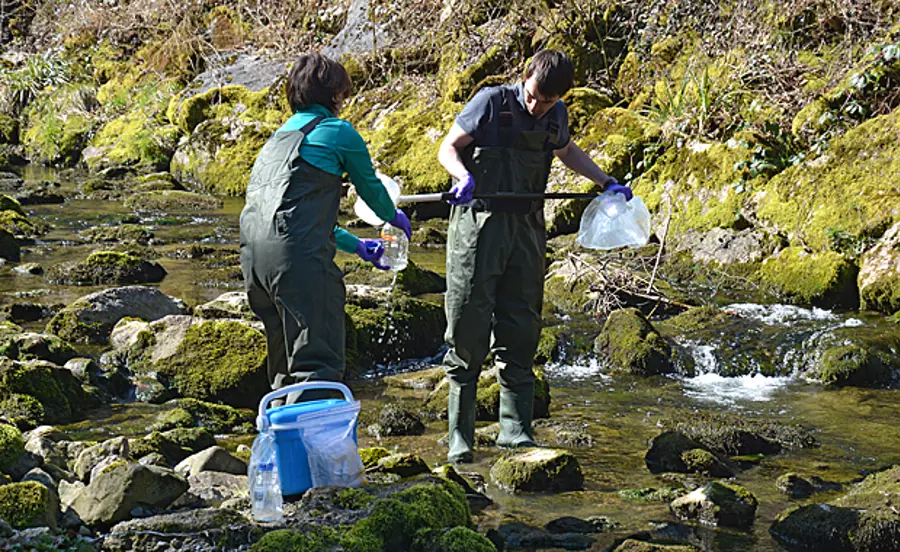 Biomarker in der Bachforelle zur Erfassung toxischer Chemikalienwirkungen in Gewässern
