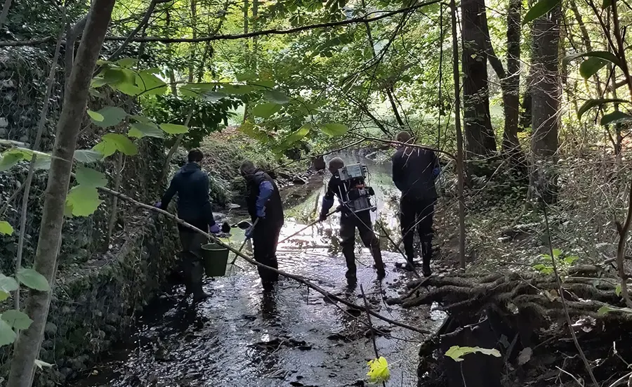Warum verschwanden die Forellen im Ruisseau des Marais? Eine Spurensuche mit ökotoxikologischen Methoden