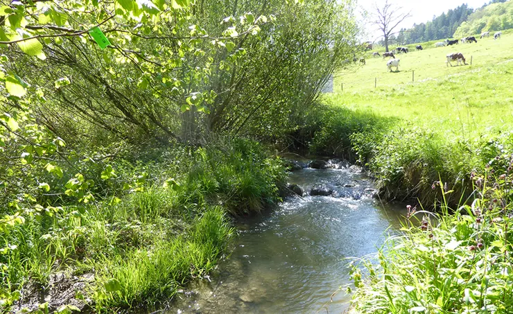 Webinar: Quality monitoring in surface waters, 26.2.2026, 15.00-16.30 Uhr