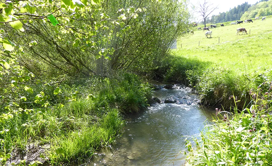 Webinar: Quality monitoring in surface waters, 26.2.2026, 15.00-16.30 Uhr