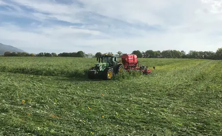 Ressourcenprojekt Kanton Genf