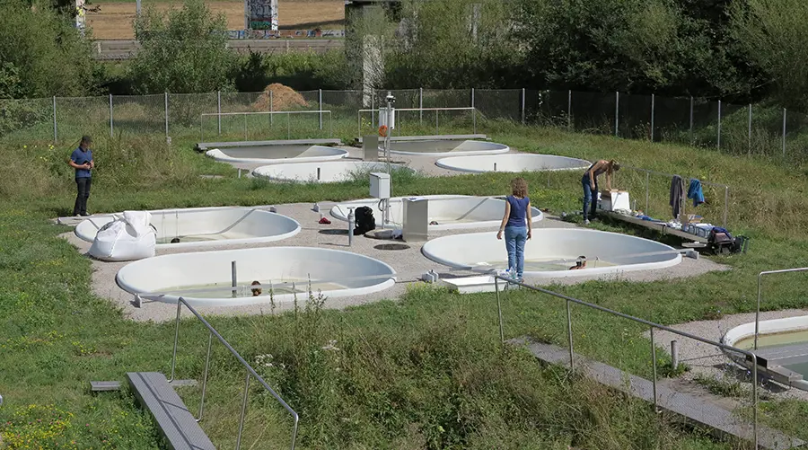 Sonnencrèmes und Badeseen: Was passiert mit UV-Filtern in Schweizer Seen und in Versuchsteichen?