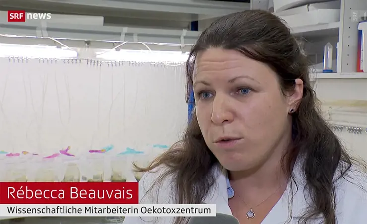 Oekotoxzentrum in SRF Schweiz aktuell zur Belastung von Sedimenten
