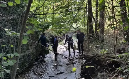 Bewertung der Wasserqualität des Ruisseau des Marais