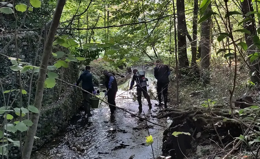 Bewertung der Wasserqualität des Ruisseau des Marais