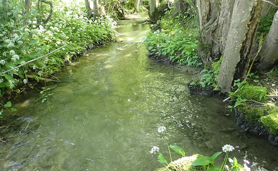Pestizideinträge in Schweizer Bäche