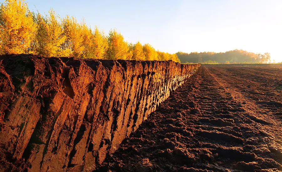 Ersatz von Torf in künstlichen Böden und Sedimenten