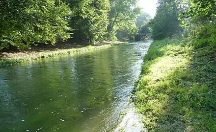 Aquatische Ökotoxikologie