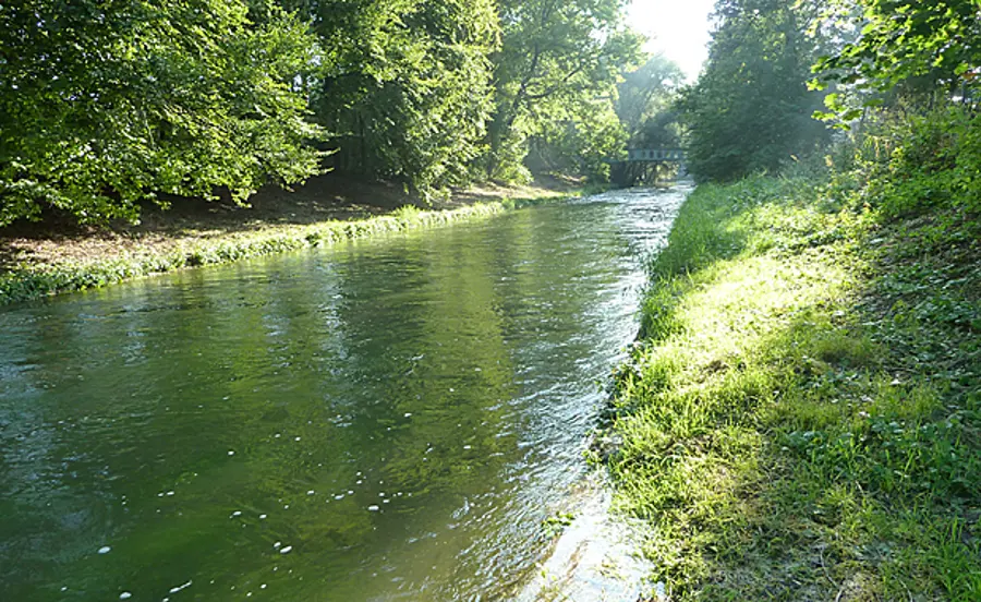 Aquatische Ökotoxikologie