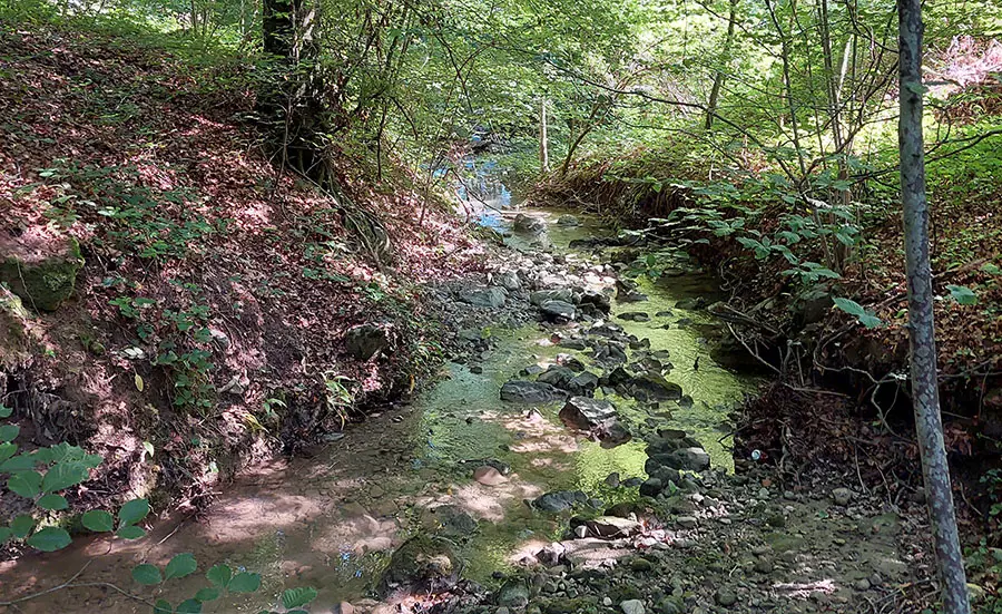 Überwachung der Wasserqualität der Chamberonne