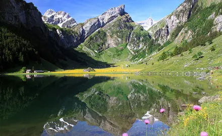 Sedimentqualität im Seealpsee: Vorkommen von Mikroplastik und reifenassoziierten Chemikalien