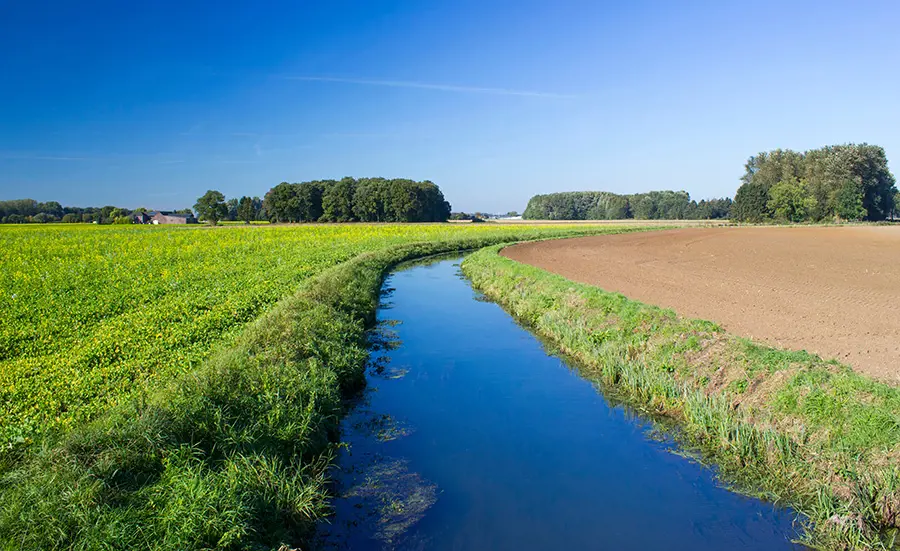 Qualitätskriterien am Oekotoxzentrum – neue Werte und Substanzen, neue Gesamtliste