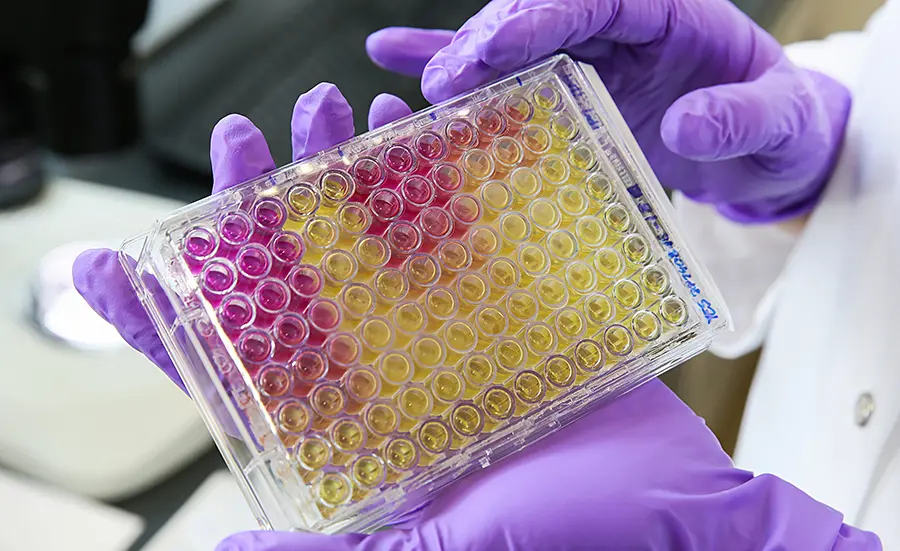 Webinar: Biotests zur Messung östrogener Effekte, 17.11.2026, 14.00-16.00