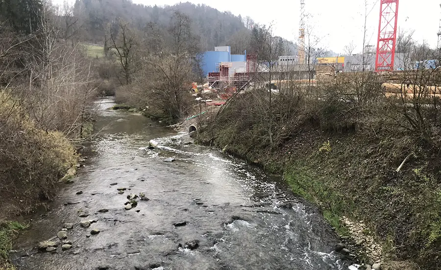 Sedimentwürmer untersuchen die Wirkung von Abwasser auf die Gesundheit von Fliessgewässern